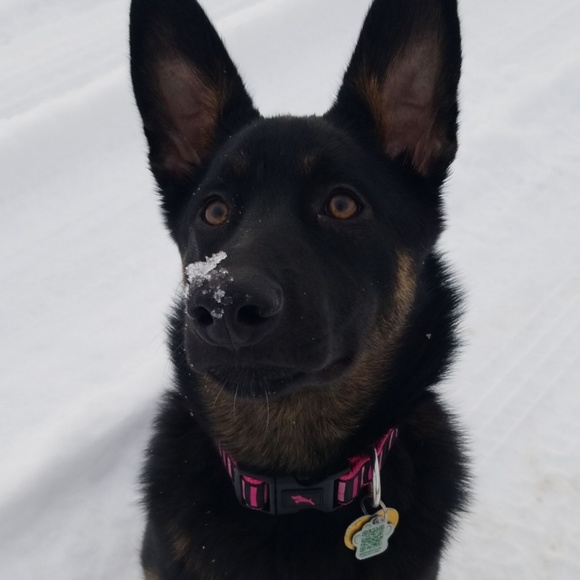 Meet your Posher, Kaytlyn - Picture 1 of 1